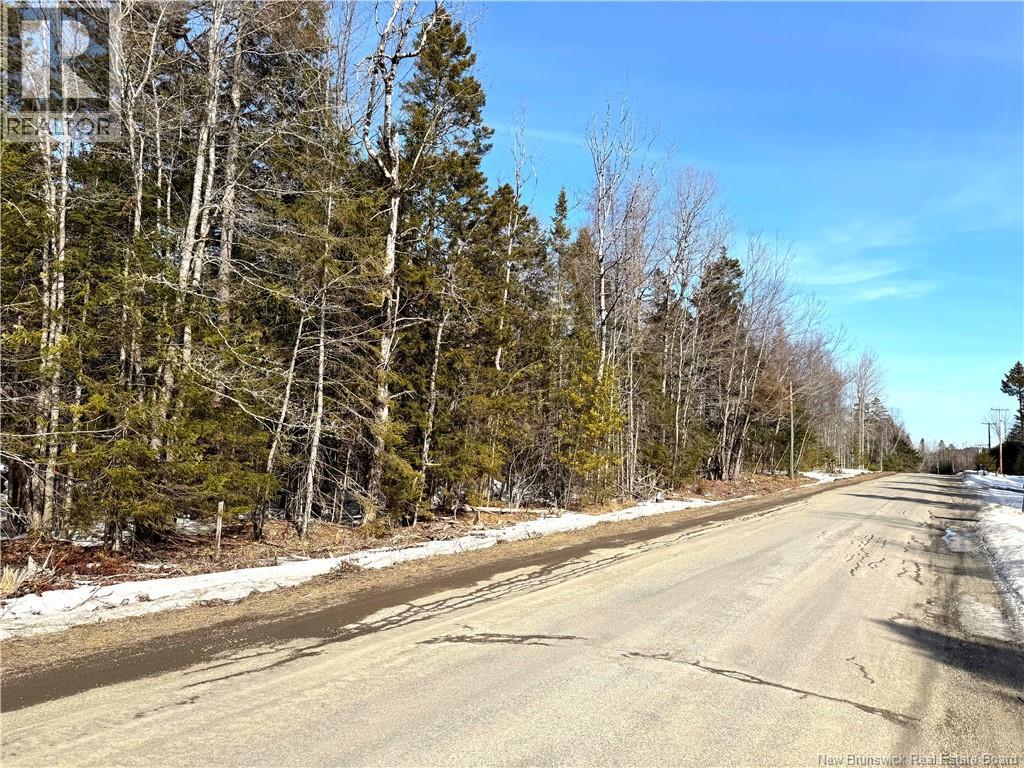 000 Harkness Road, Saint Andrews, New Brunswick  E5B 3E7 - Photo 19 - NB134429