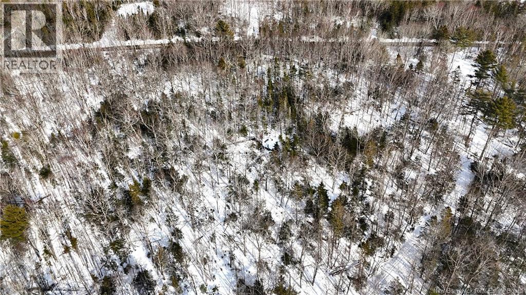 Lot 12-2 Hills Point Road, Oak Bay, New Brunswick  E3L 4K5 - Photo 18 - NB133952