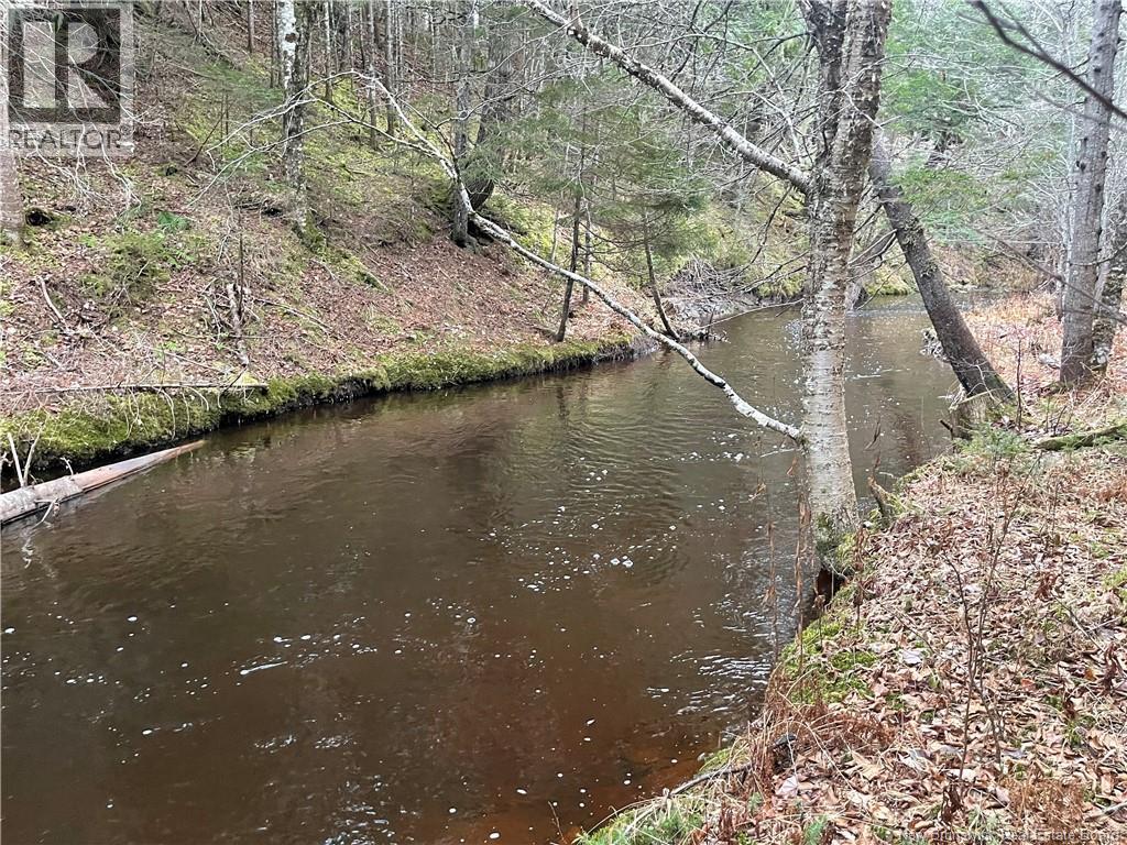 Lot Route 515, Sainte-Marie-De-Kent, New Brunswick