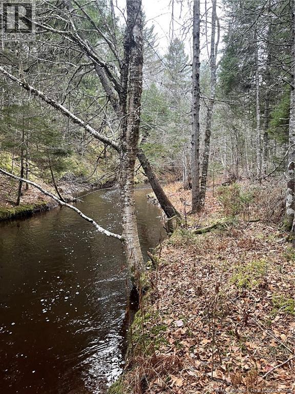 Lot Route 515, Sainte-Marie-De-Kent, New Brunswick  E4S 2C4 - Photo 3 - NB134703