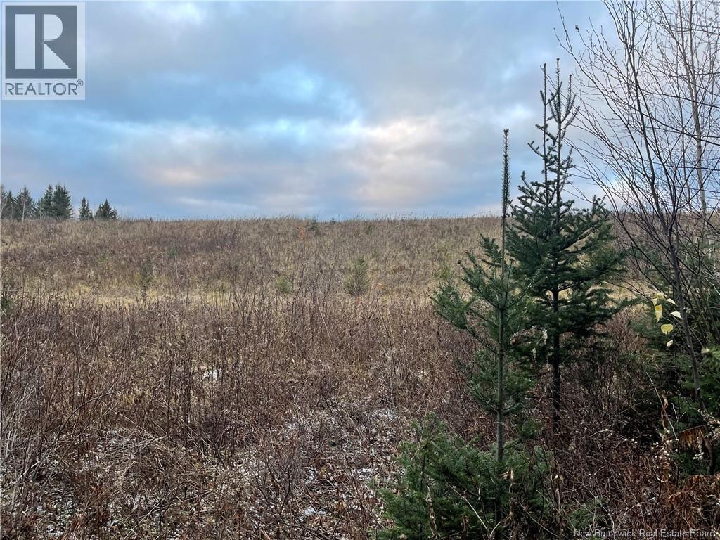 Lot Route 515, Sainte-Marie-De-Kent, New Brunswick  E4S 2C4 - Photo 5 - NB134703