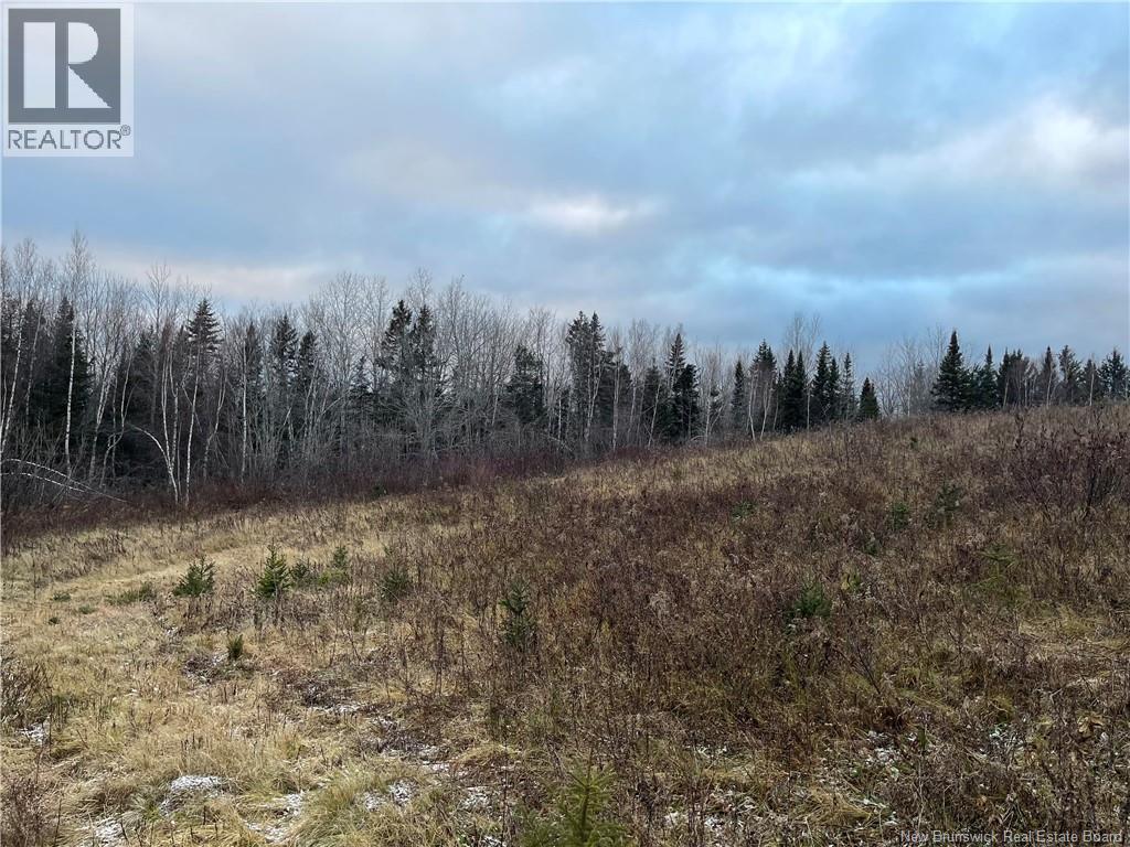 Lot Route 515, Sainte-Marie-De-Kent, New Brunswick  E4S 2C4 - Photo 6 - NB134703