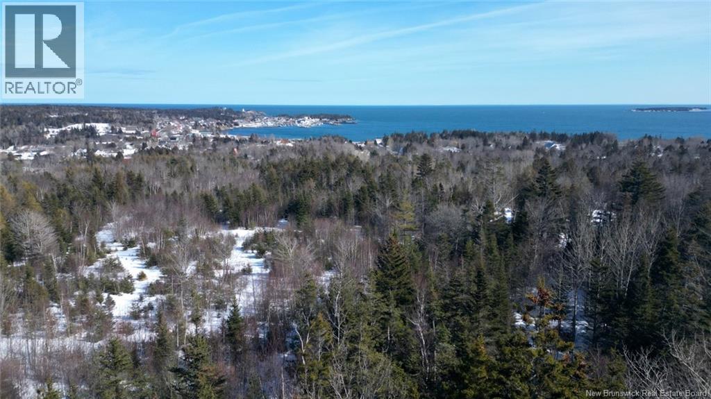 176 Route 776, Grand Manan, New Brunswick  E5G 1A3 - Photo 2 - NB134754