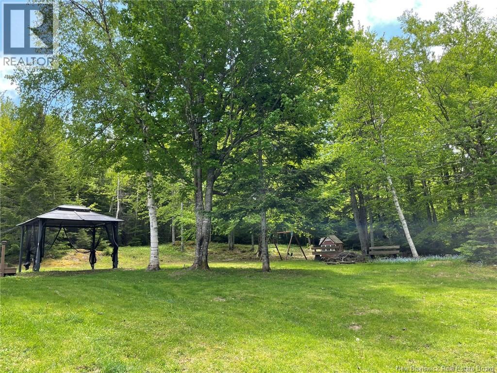 2382 Route 490, Ammon, New Brunswick  E1G 4R8 - Photo 42 - NB134743