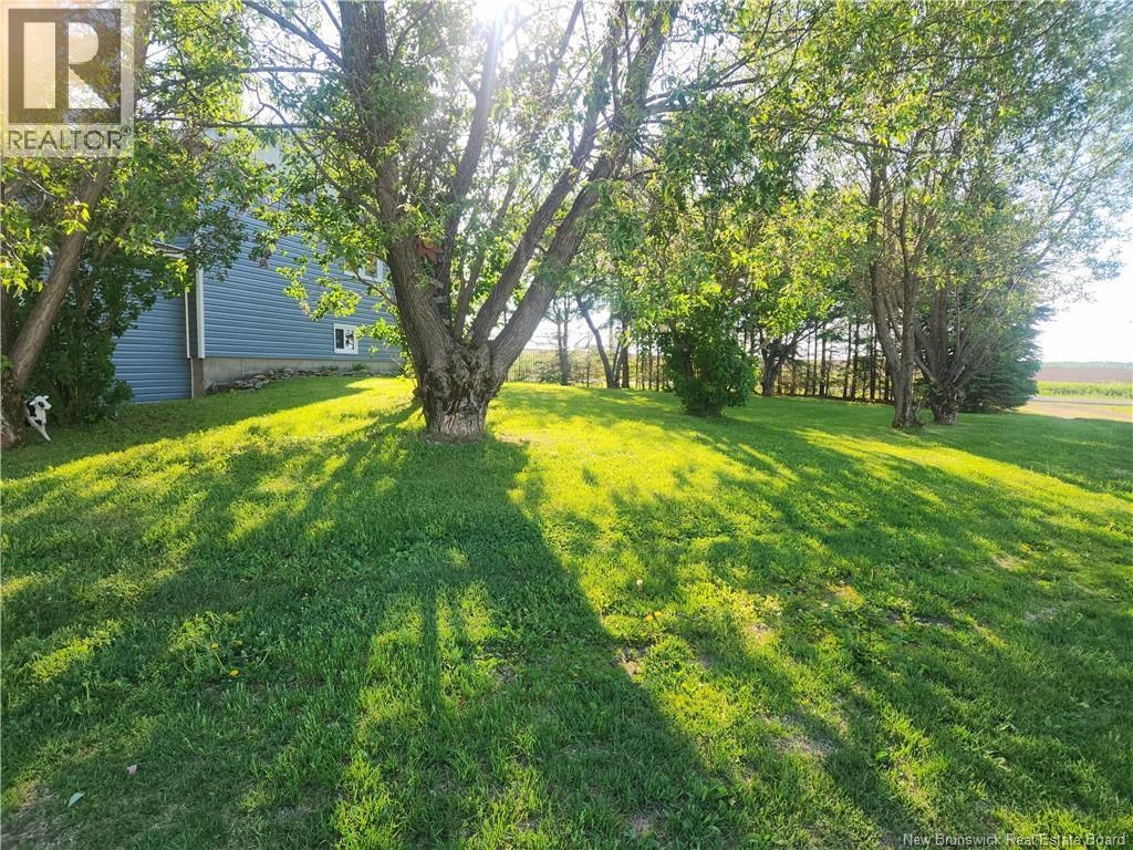 469 St-Amand Road, Saint-André, New Brunswick  E3Y 3K6 - Photo 7 - NB134692