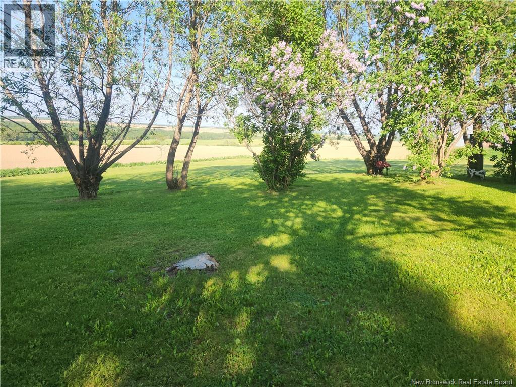 469 St-Amand Road, Saint-André, New Brunswick  E3Y 3K6 - Photo 8 - NB134692