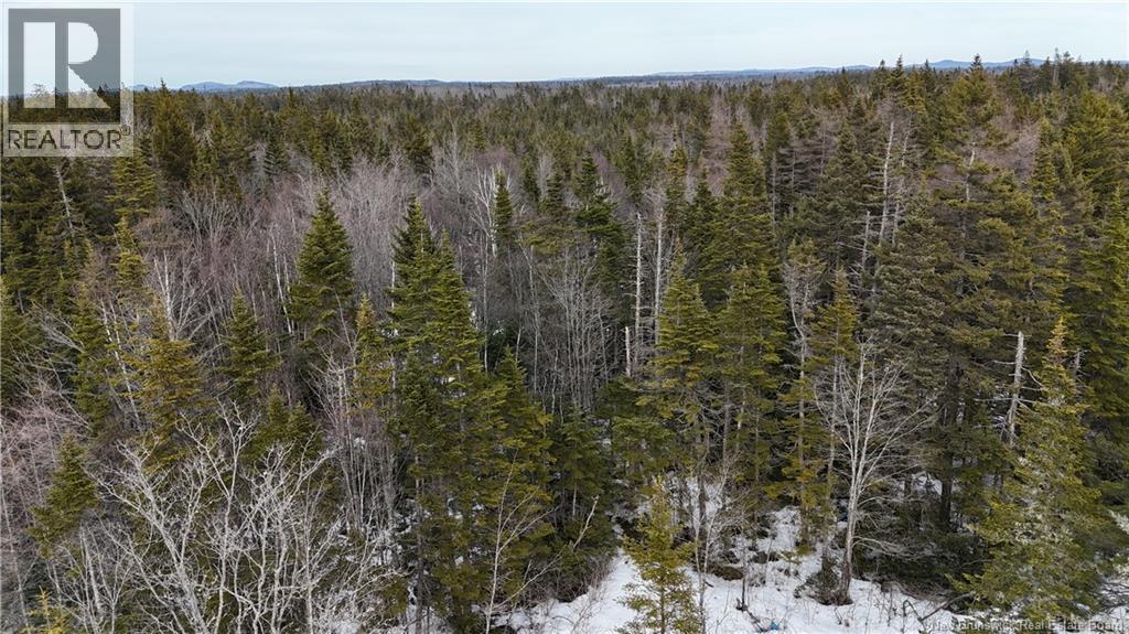 Goldsworthy Road, Black River, New Brunswick