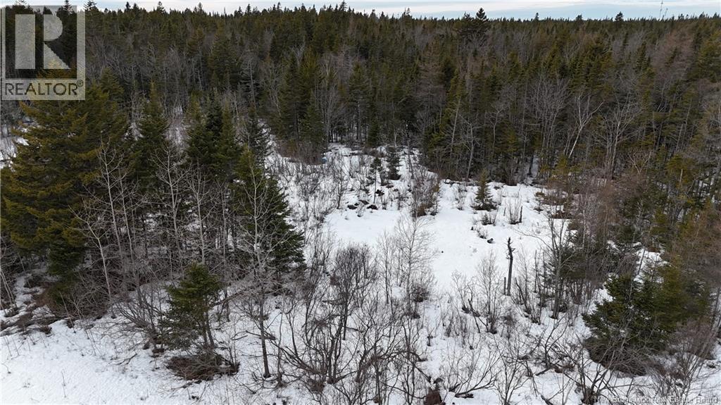 Goldsworthy Road, Black River, New Brunswick E2J 4V1 - Photo 3 - NB134744