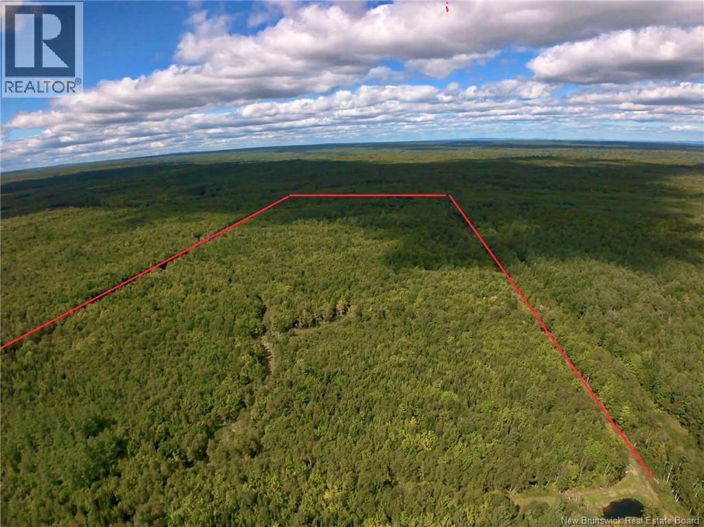 4481 Route 180, South Tetagouche, New Brunswick  E2A 7G8 - Photo 10 - NB134789