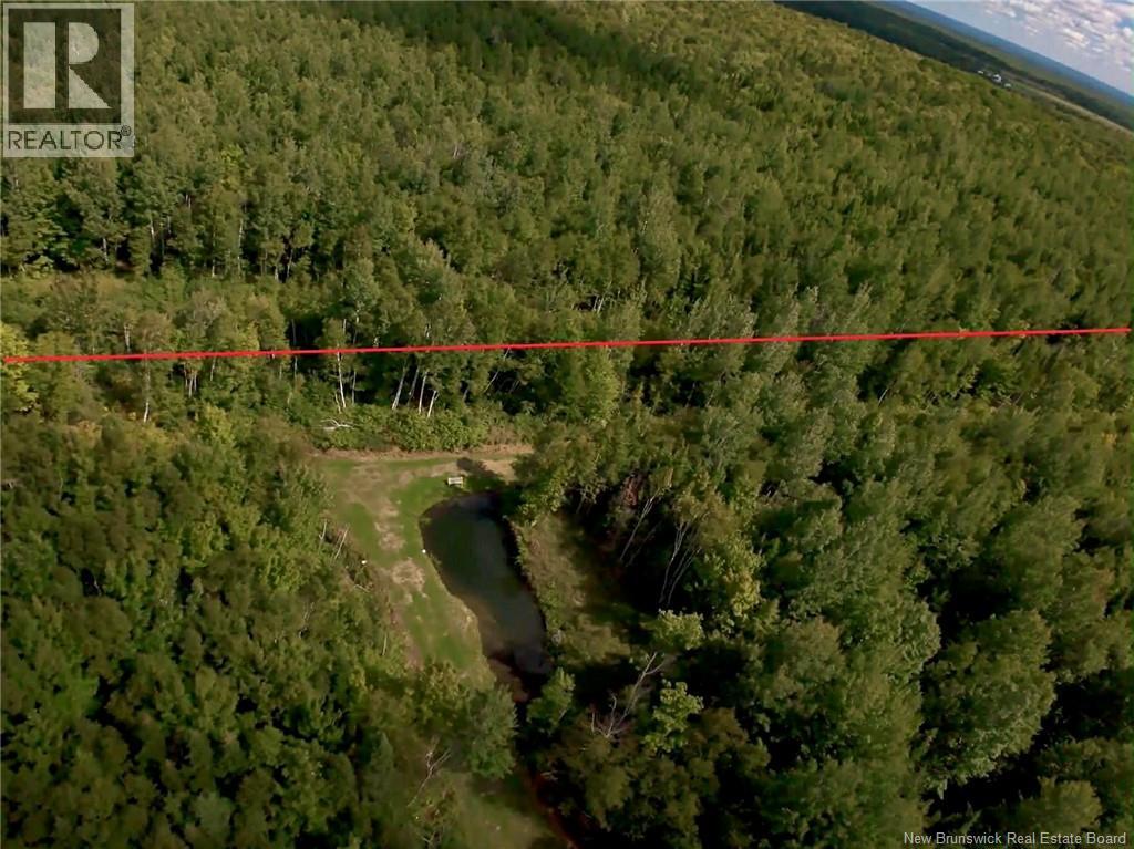 4481 Route 180, South Tetagouche, New Brunswick  E2A 7G8 - Photo 13 - NB134789