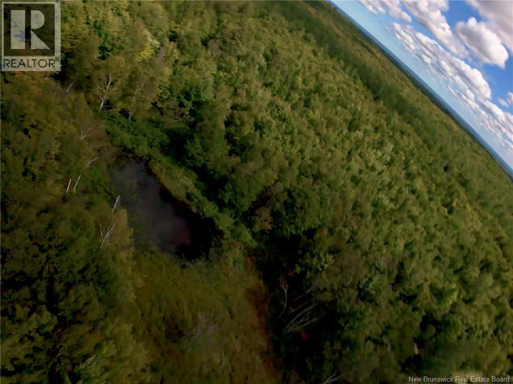 4481 Route 180, South Tetagouche, New Brunswick  E2A 7G8 - Photo 15 - NB134789