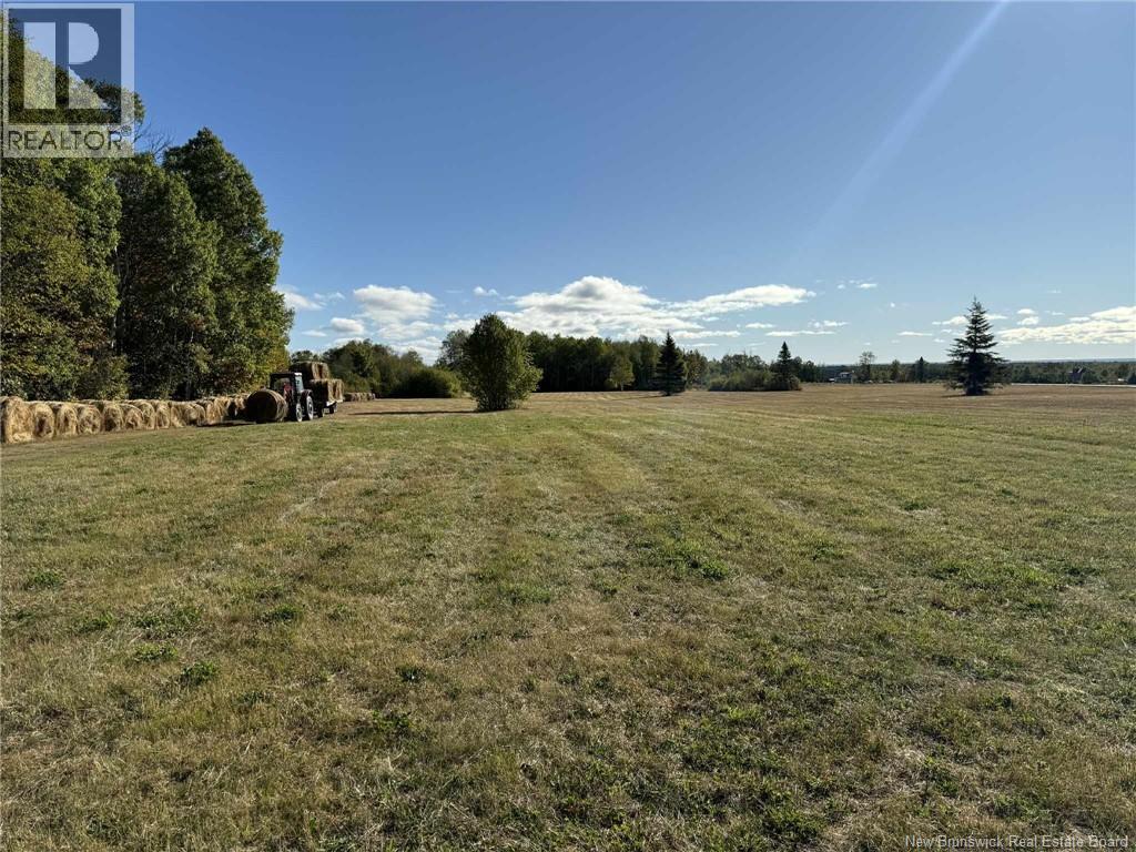 4481 Route 180, South Tetagouche, New Brunswick  E2A 7G8 - Photo 24 - NB134789