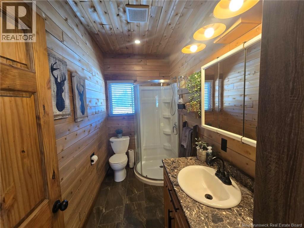 4481 Route 180, South Tetagouche, New Brunswick  E2A 7G8 - Photo 34 - NB134789