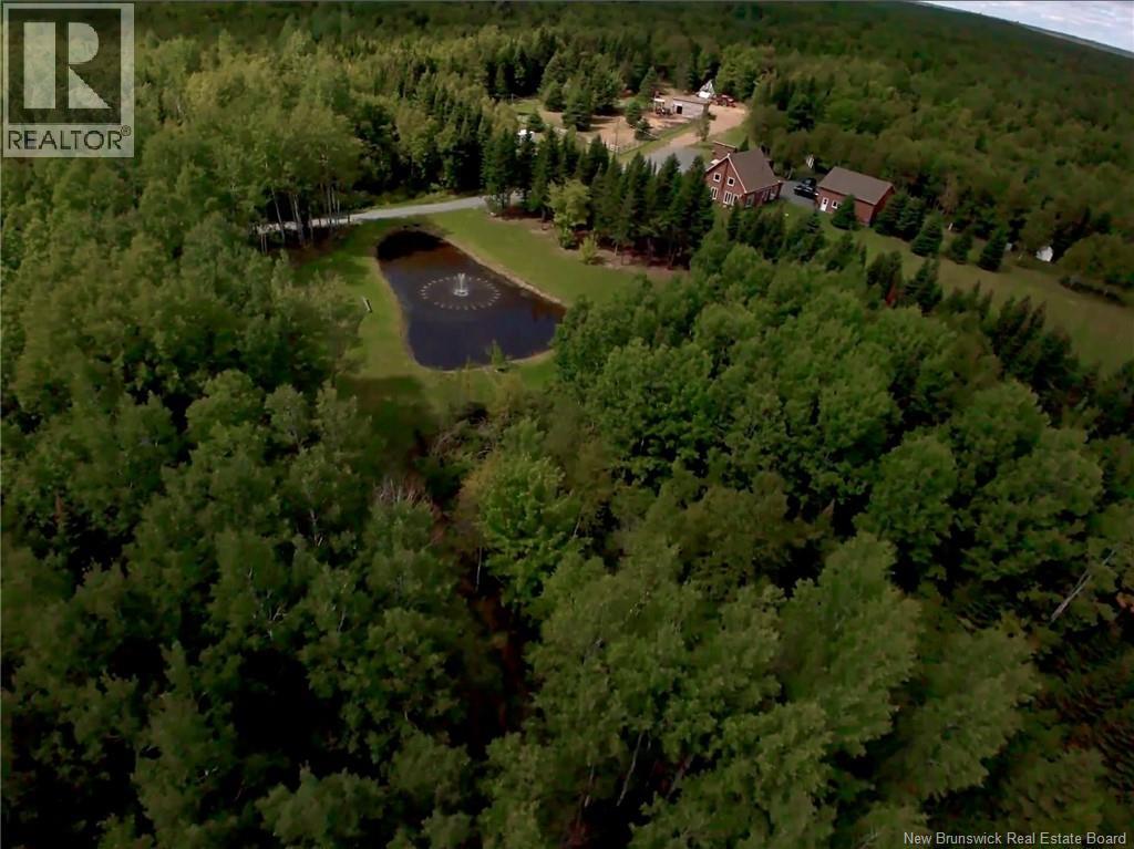 4481 Route 180, South Tetagouche, New Brunswick  E2A 7G8 - Photo 6 - NB134789