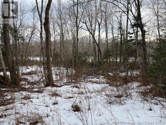 11 Dale Aubin Lane, Tracy, New Brunswick  E5L 1L1 - Photo 8 - NB134769