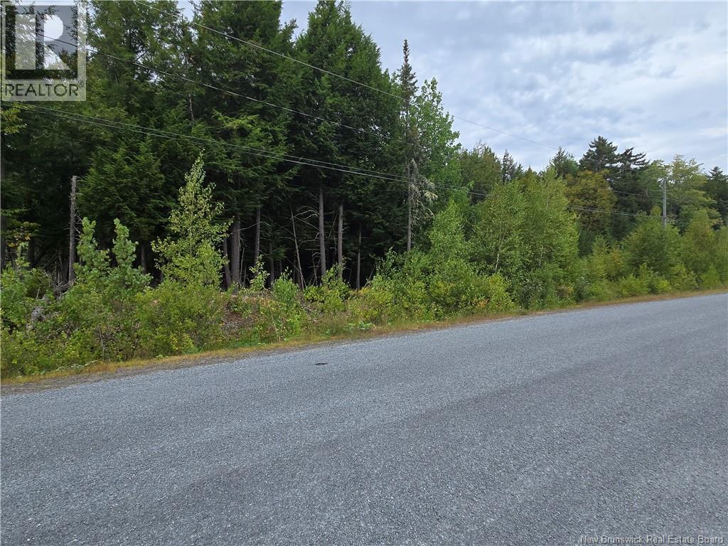 Lot Country Wood Lane, Richibucto Road, New Brunswick  E3A 0X7 - Photo 3 - NB134830