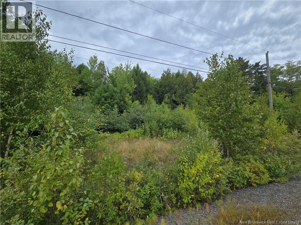Lot Country Wood Lane, Richibucto Road, New Brunswick  E3A 0X7 - Photo 4 - NB134830