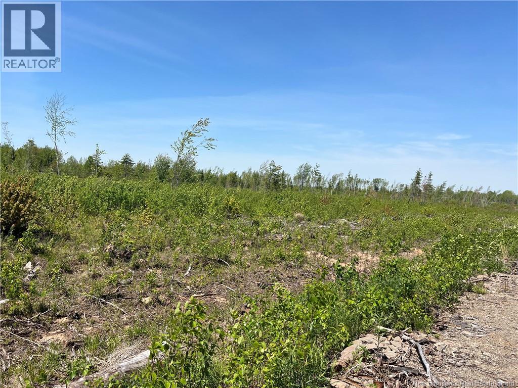 Lot Arthur Symes Lane, Beersville, New Brunswick  E4T 2M5 - Photo 2 - NB134859