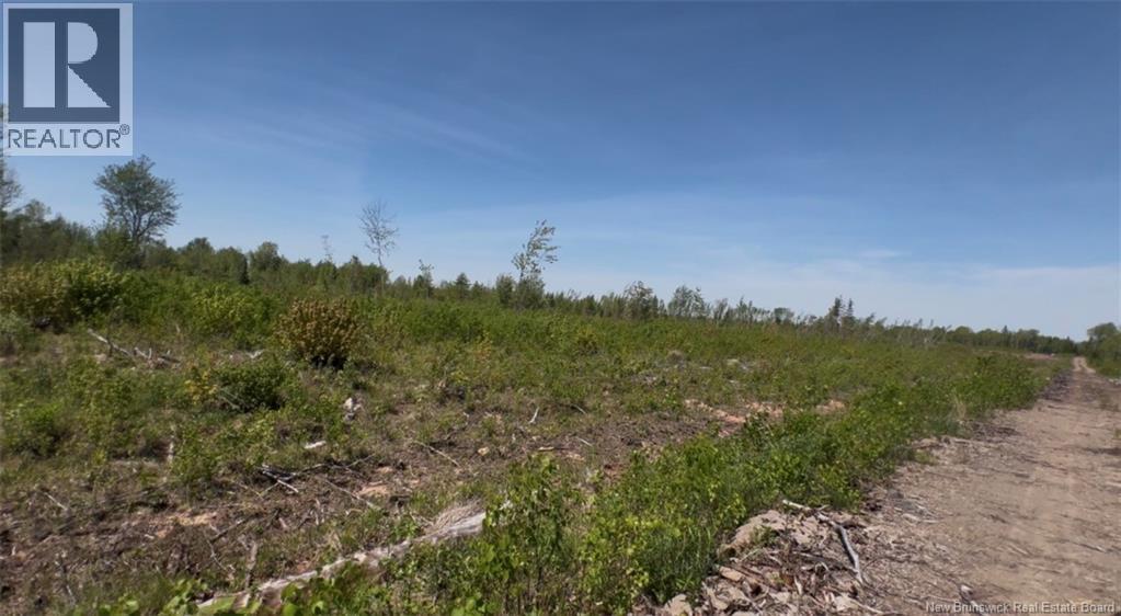 Lot Arthur Symes Lane, Beersville, New Brunswick  E4T 2M5 - Photo 3 - NB134859