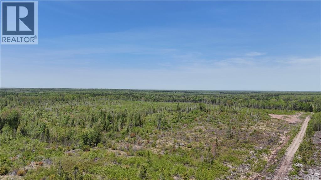 Lot Arthur Symes Lane, Beersville, New Brunswick  E4T 2M5 - Photo 4 - NB134859