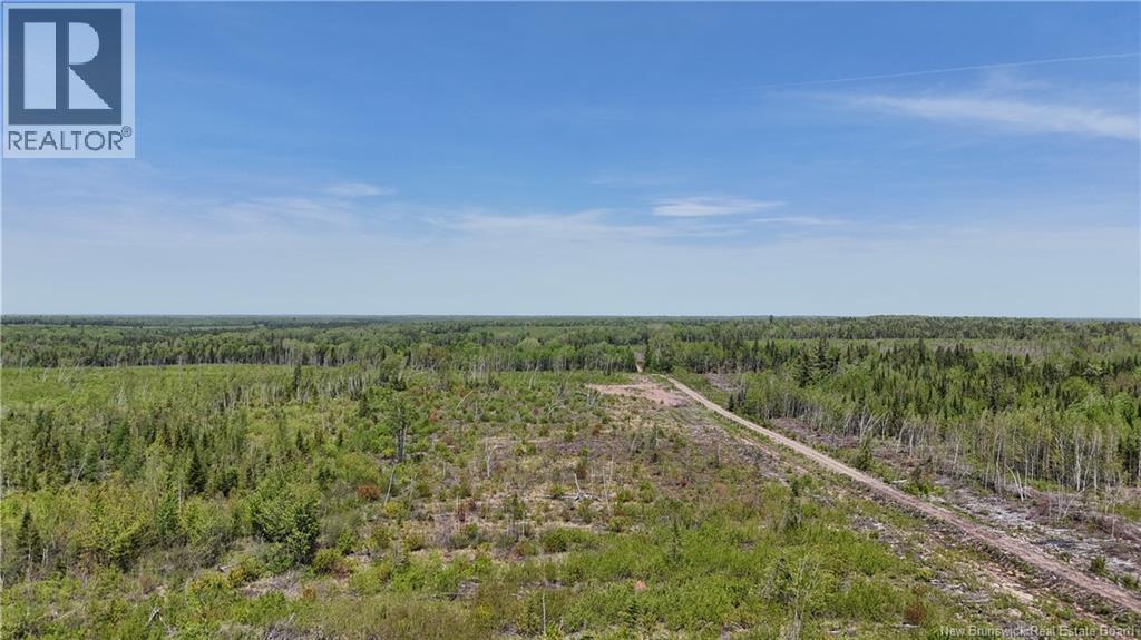 Lot Arthur Symes Lane, Beersville, New Brunswick  E4T 2M5 - Photo 6 - NB134859