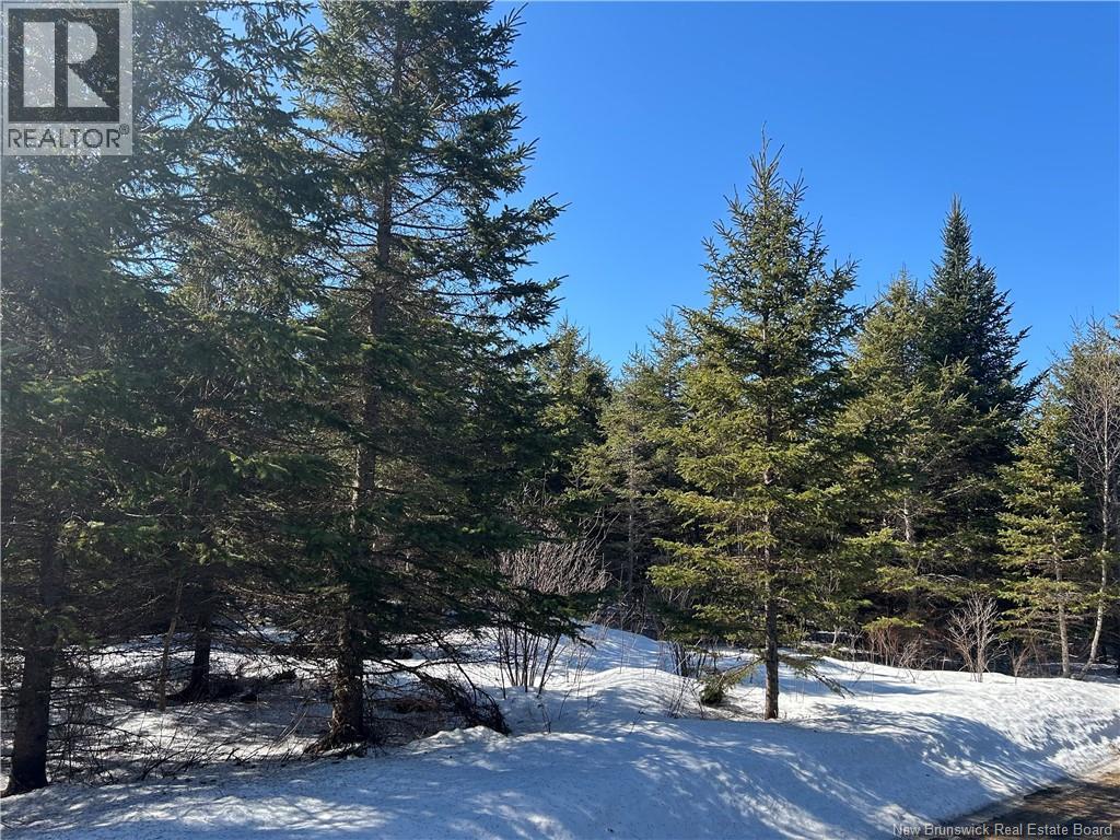 Route 860, Salt Springs, New Brunswick  E3E 5W7 - Photo 1 - NB134931