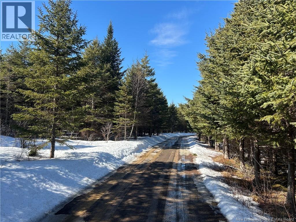 Route 860, Salt Springs, New Brunswick  E3E 5W7 - Photo 2 - NB134931