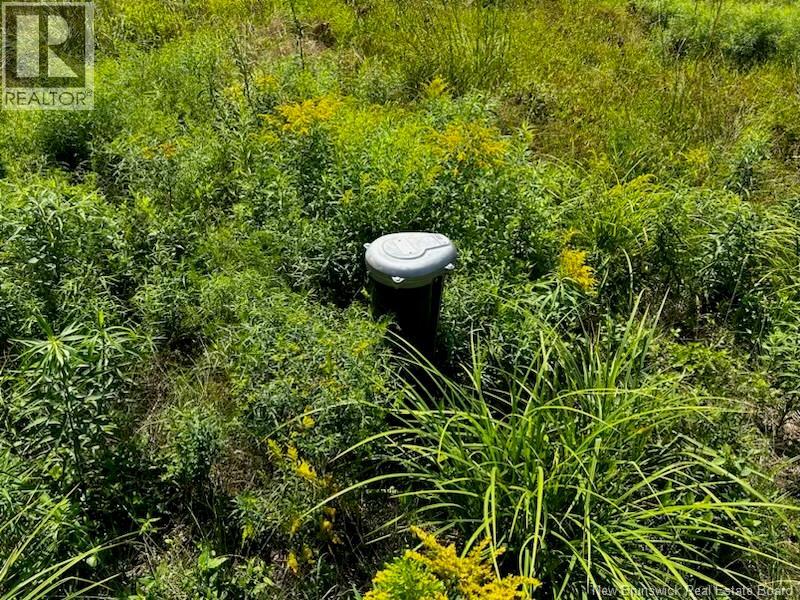 Scotchtown Road, Douglas Harbour, New Brunswick  E4B 1X1 - Photo 2 - NB134948