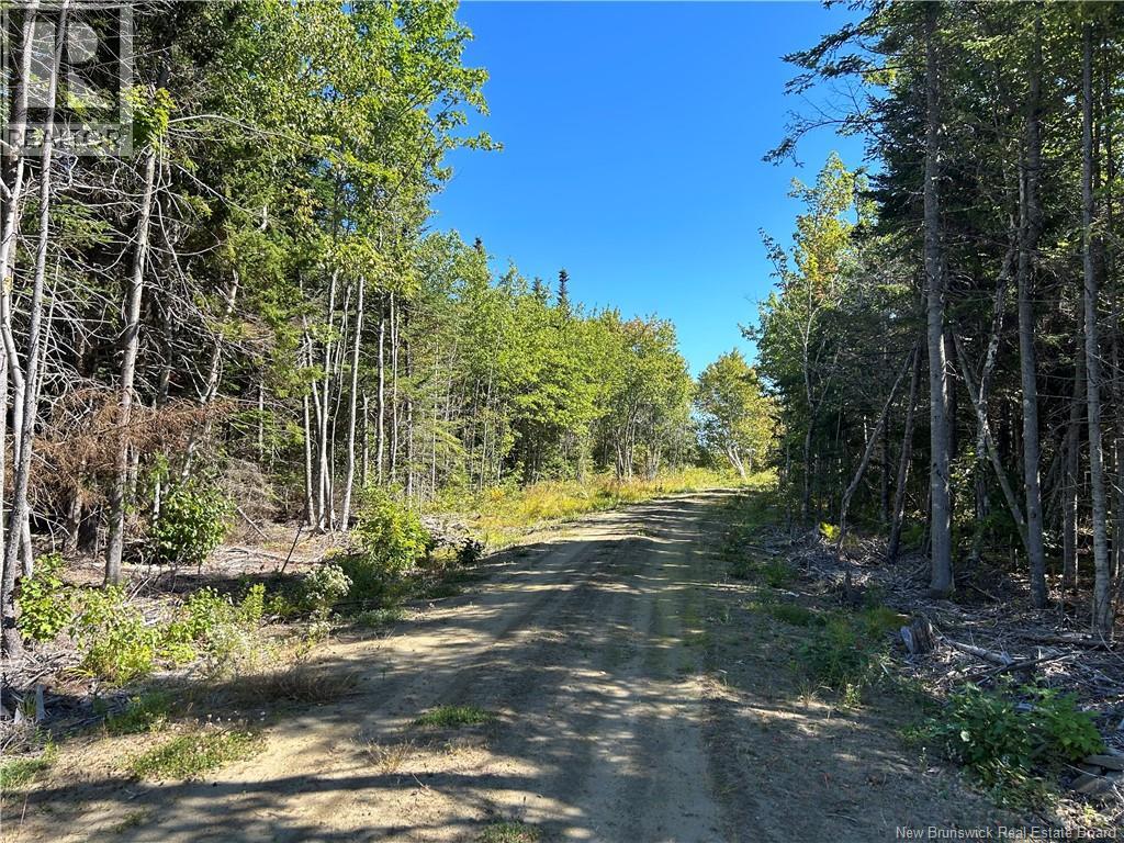 Lot 08-07 Sunrise Lane, Shemogue, New Brunswick  E4N 2N2 - Photo 48 - NB134839