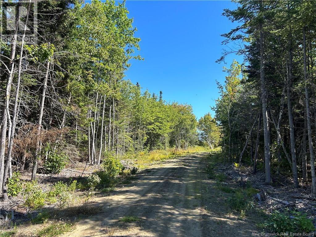 Lot 08-07 Sunrise Lane, Shemogue, New Brunswick  E4N 2N2 - Photo 49 - NB134839