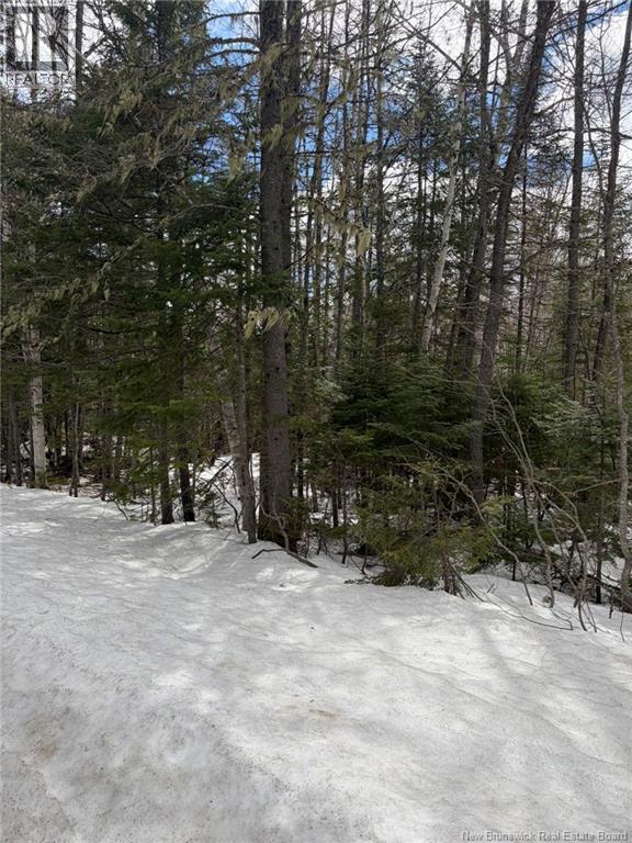 3.7 Acres Route 435, Maple Glen, New Brunswick E1V 4X5 - Photo 4 - NB135057