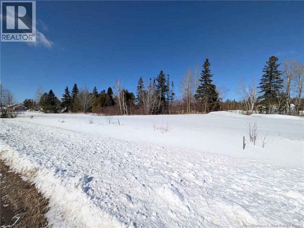 Lot#1 Rue Des Habitants, Nigadoo, New Brunswick  E8K 3T2 - Photo 3 - NB135004
