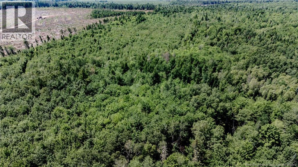 Vacant Lot CH NW ALDOUANE RIVER RD, Saint-Charles, New Brunswick
