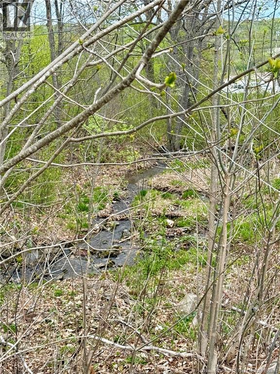 618 Rte 165, Riceville, New Brunswick E7N 2Z1 - Photo 8 - NB135232