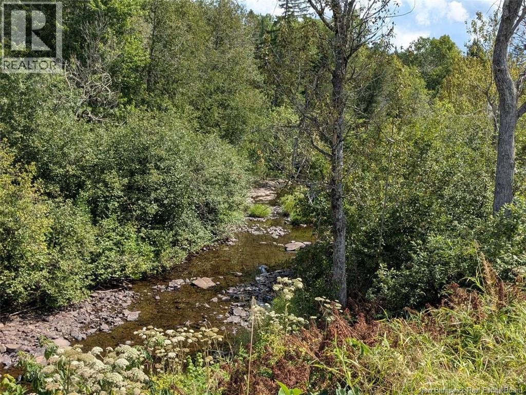 57 Phillips Road, Charters Settlement, New Brunswick  E3C 1T7 - Photo 43 - NB135288