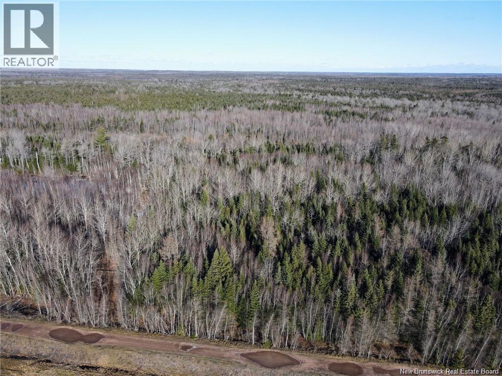4 Lots Off Hwy 2, Lakeburn, New Brunswick E1A 7J6 - Photo 10 - NB135166