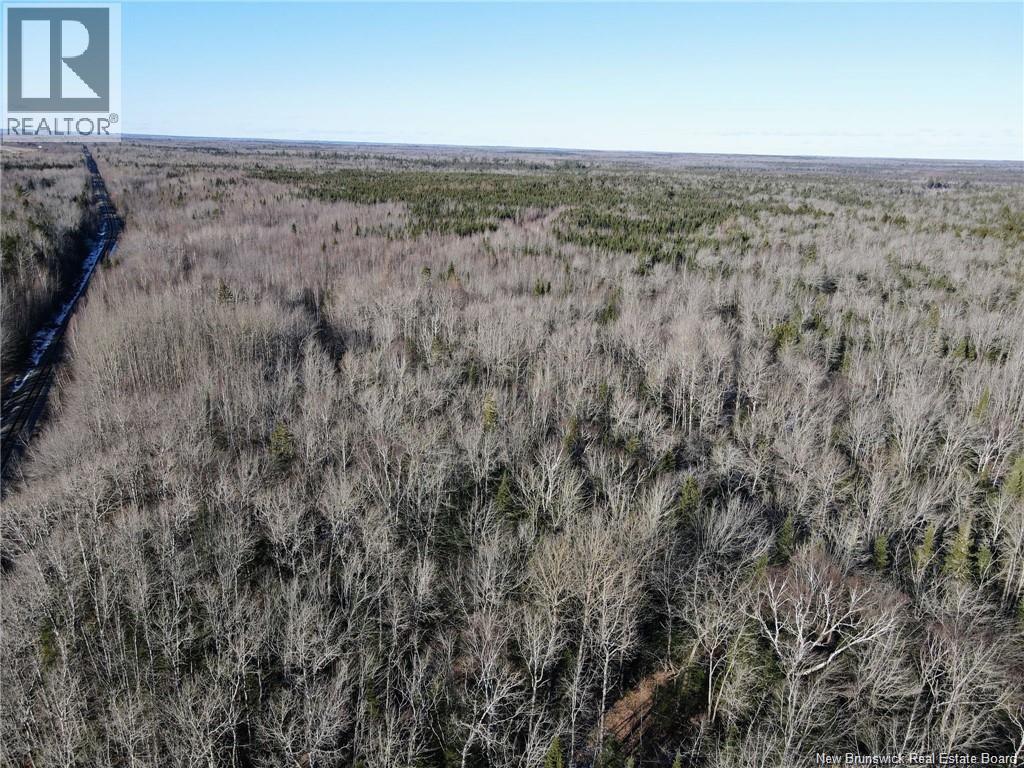 4 Lots Off Hwy 2, Lakeburn, New Brunswick E1A 7J6 - Photo 6 - NB135166
