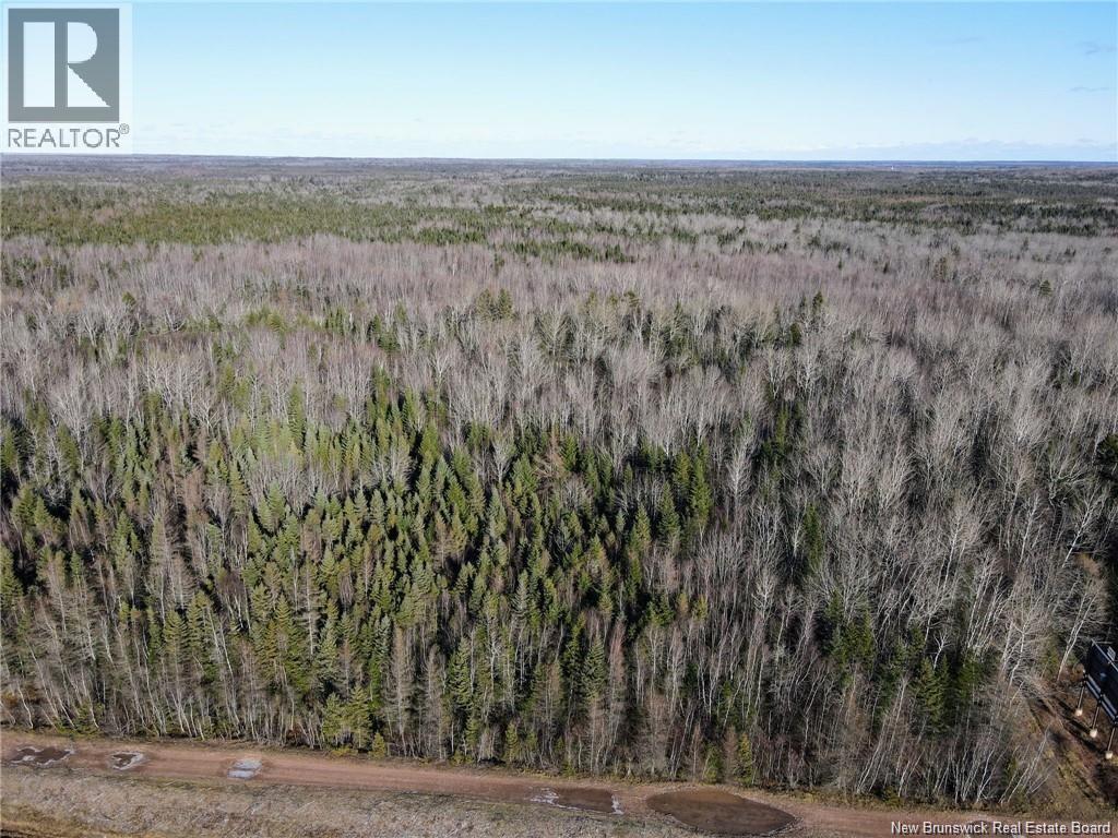 4 Lots Off Hwy 2, Lakeburn, New Brunswick E1A 7J6 - Photo 7 - NB135166