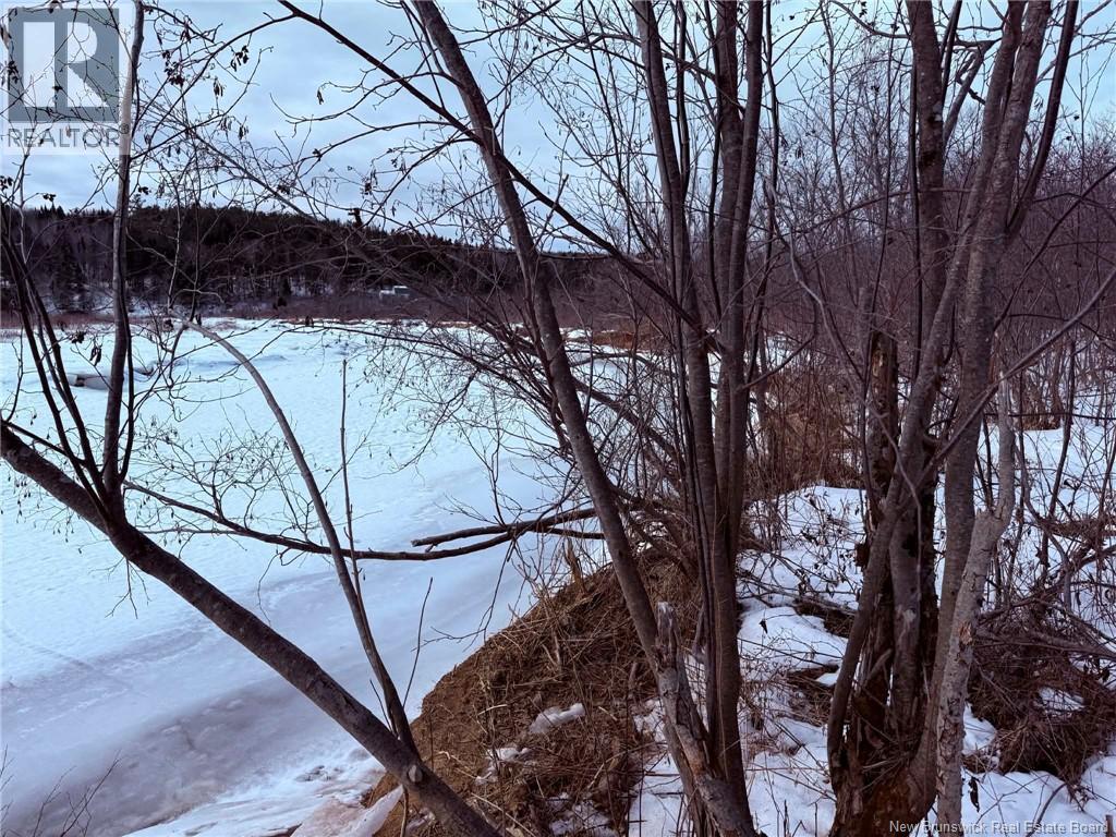 0 Mainstream Road, Mainstream, New Brunswick A0A 0A0 - Photo 3 - NB135404