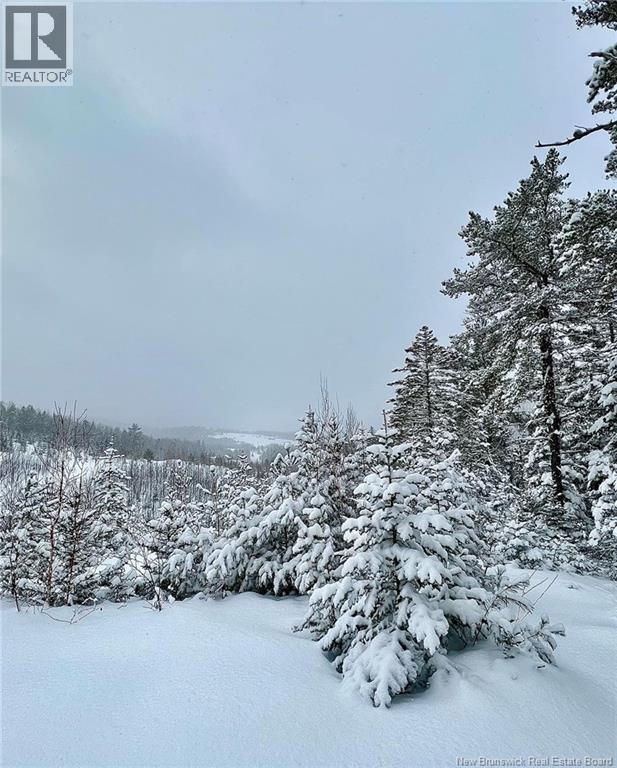 Lot Prosser Brook Road, Prosser Brook, New Brunswick  E4Z 2E8 - Photo 2 - NB135437