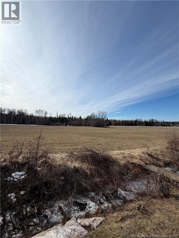 Lot Monteagle Road, Salisbury, New Brunswick  E4J 1T6 - Photo 2 - NB135391