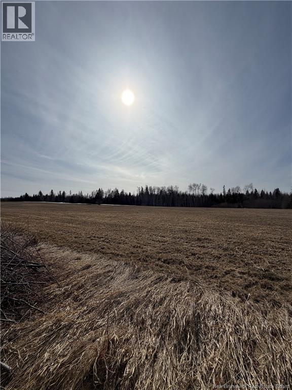 Lot Monteagle Road, Salisbury, New Brunswick  E4J 1T6 - Photo 4 - NB135391