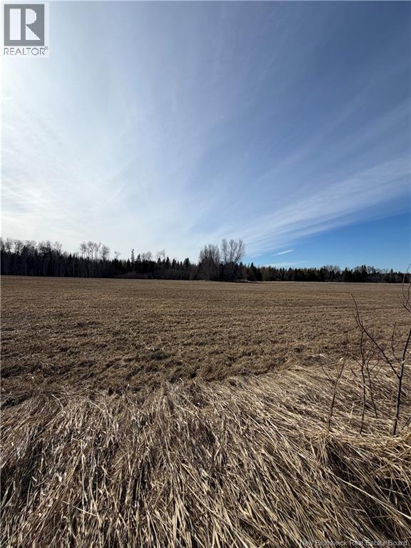 Lot Monteagle Road, Salisbury, New Brunswick  E4J 1T6 - Photo 5 - NB135391