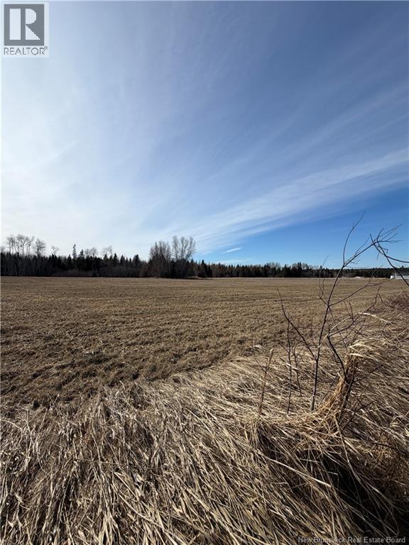 Lot Monteagle Road, Salisbury, New Brunswick  E4J 1T6 - Photo 6 - NB135391