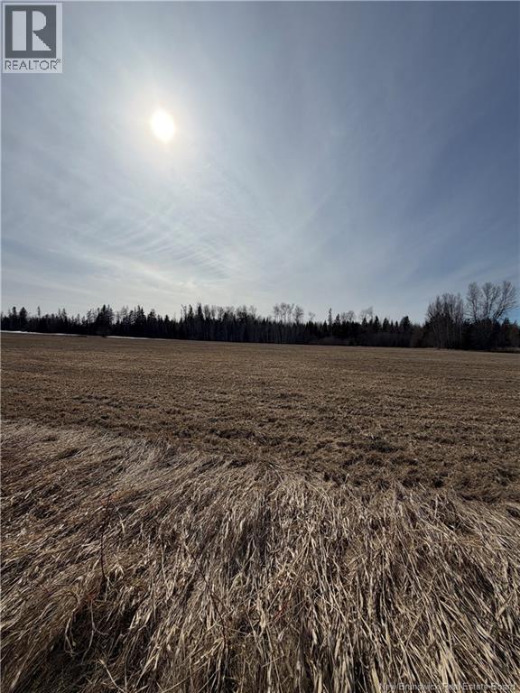 Lot Monteagle Road, Salisbury, New Brunswick  E4J 1T6 - Photo 7 - NB135391