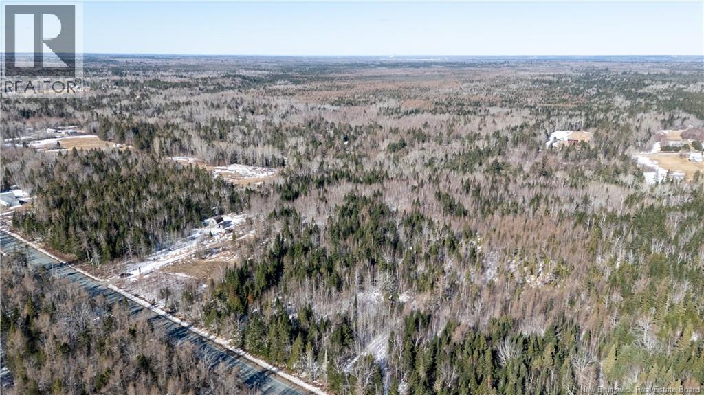 225 South Black River Road, Black River Bridge, New Brunswick  E1N 5S5 - Photo 11 - NB135295