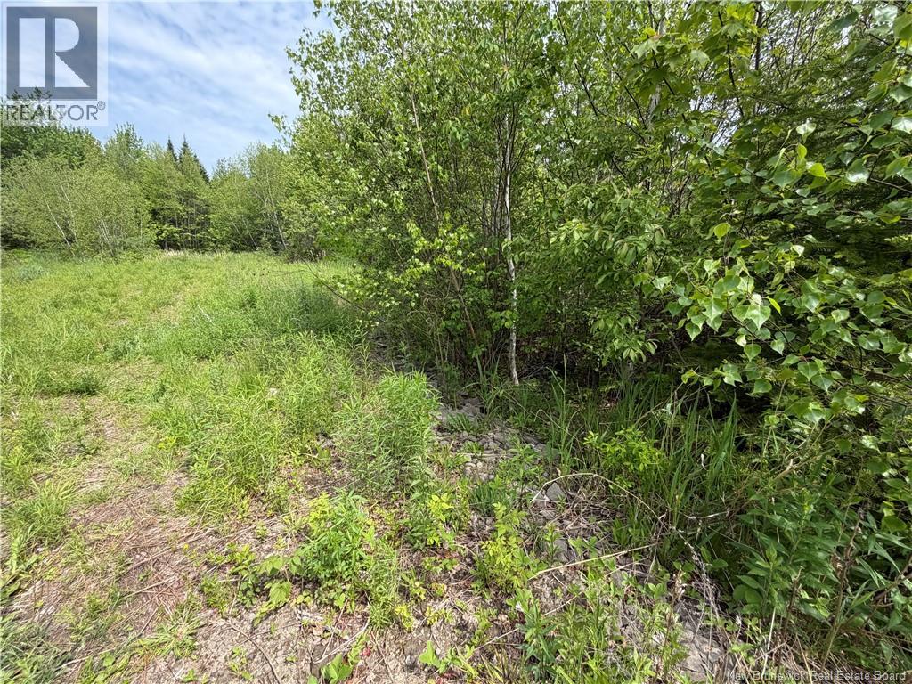 225 South Black River Road, Black River Bridge, New Brunswick  E1N 5S5 - Photo 14 - NB135295