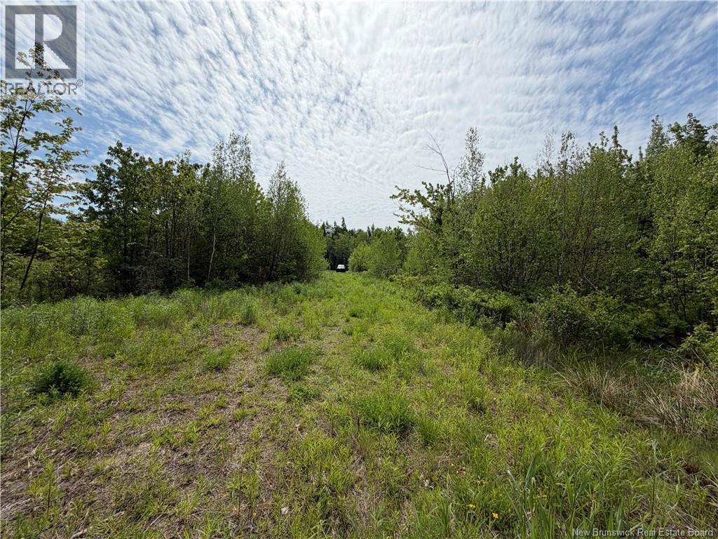 225 South Black River Road, Black River Bridge, New Brunswick  E1N 5S5 - Photo 15 - NB135295