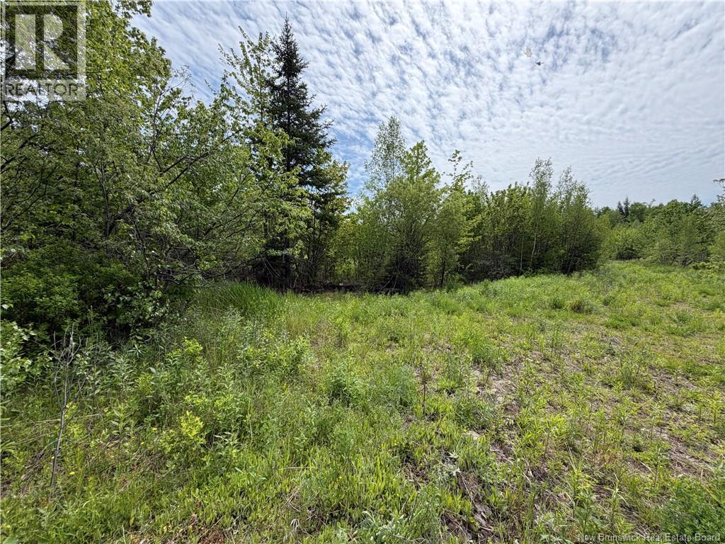 225 South Black River Road, Black River Bridge, New Brunswick  E1N 5S5 - Photo 16 - NB135295