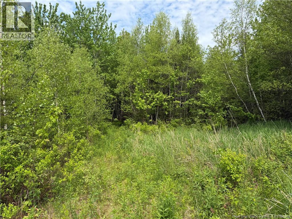 225 South Black River Road, Black River Bridge, New Brunswick  E1N 5S5 - Photo 17 - NB135295